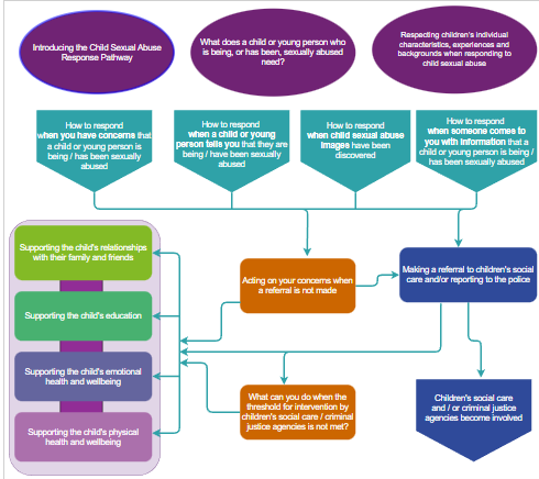 diagram of the child sexual abuse pathway